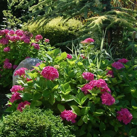 Apartament Z Ogrodem/apartment With Garden Колобжег